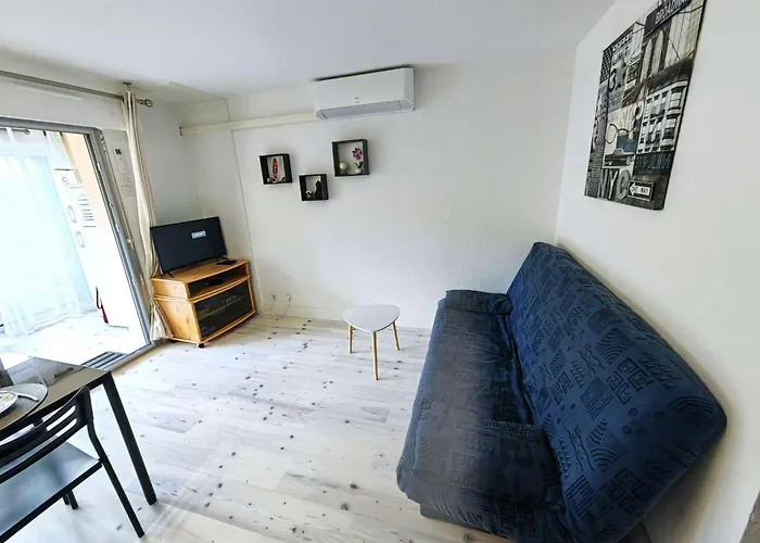 Διαμέρισμα Spacieux T2 Climatise Avec Parking, Terrasse Et Wi-fi - Fr-1-607-205 Agde